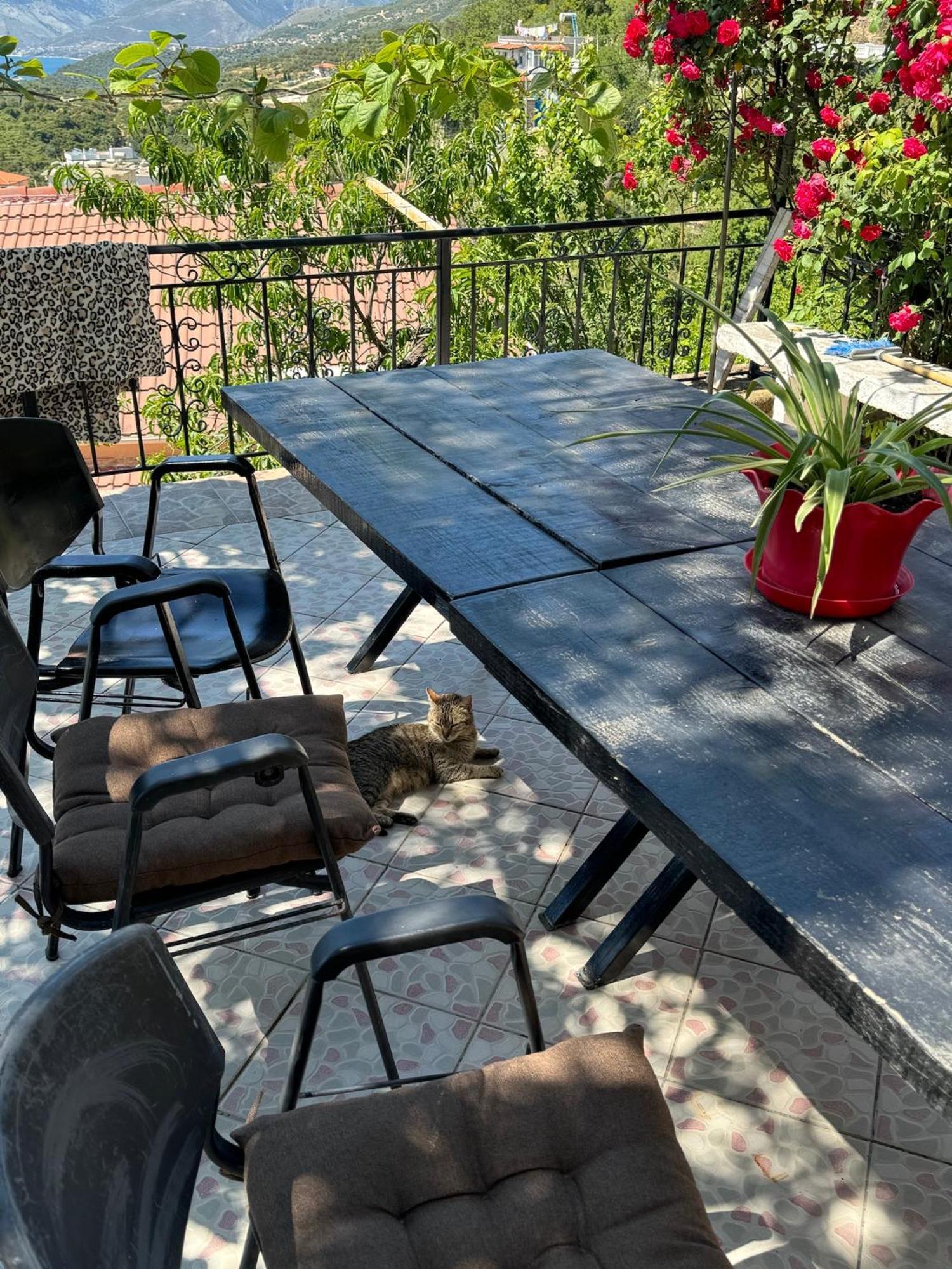 ホテル Lida'S House Lukovë エクステリア 写真